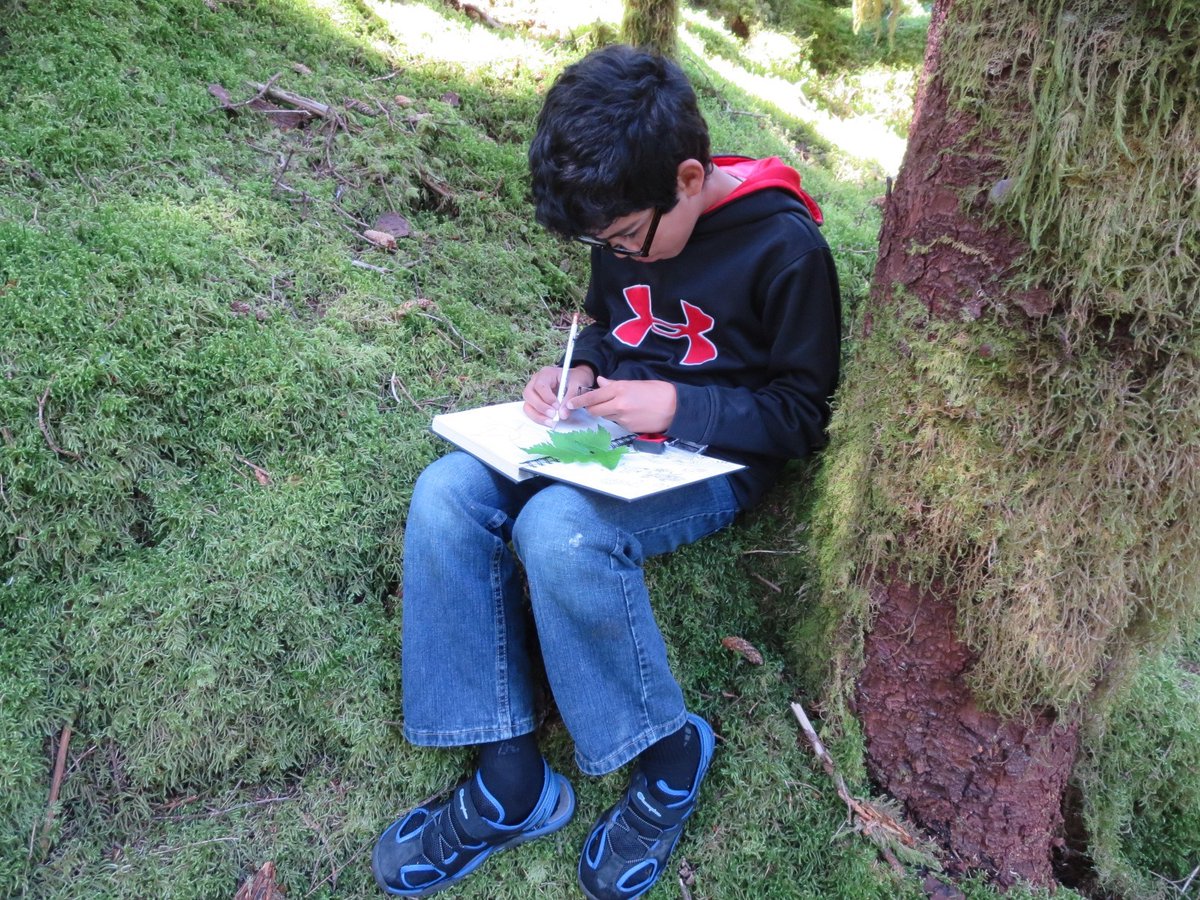 BLMAlaska's tweet photo. Sign up for Wednesday's #AlaskaExplorers 🌲Forest Explorers virtual lesson for at-home learners.
4th-6th graders will be the focus. Space is limited!
Register today ➡️ https://t.co/Y9ENbpQY1A
#VirtualLearning #DistanceLearning #forest #trees
📷BLM Alaska Photo https://t.co/F4nkIrlhGY