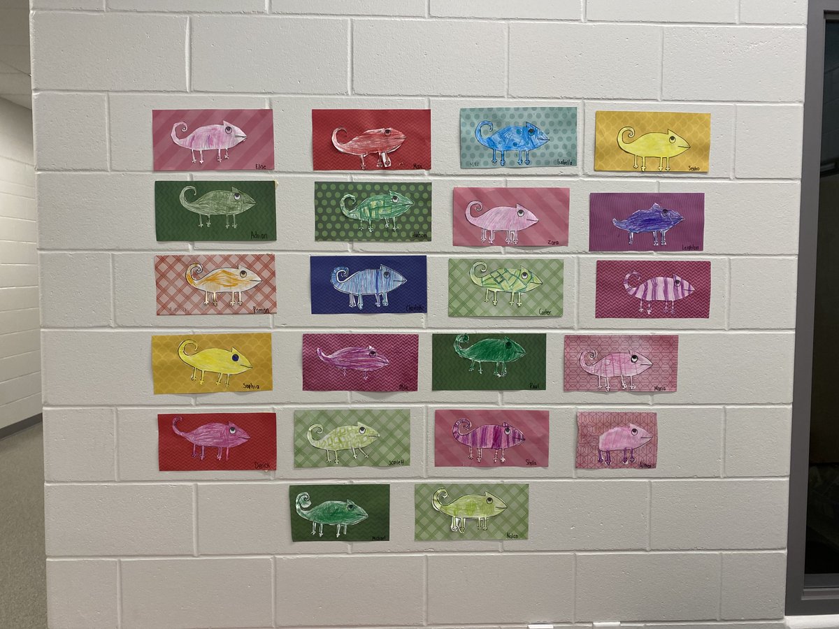 Grade 1 "Camouflage In Chameleons"