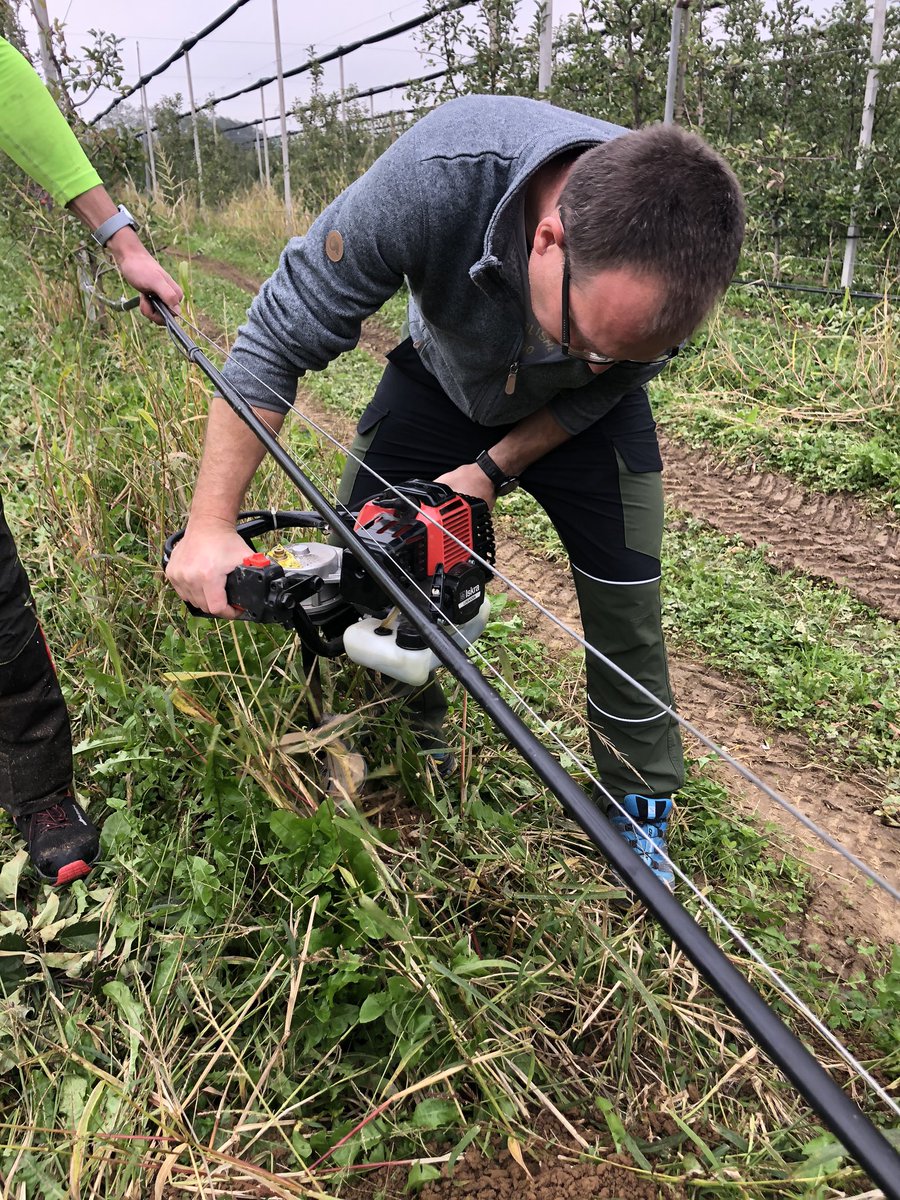 AntrodiaH's tweet photo. We have setup a new field test site in Bilje between the trees today see the influence of watering on wood decay. #durasoft #bf @univerza_lj @InterregITASLO https://t.co/sxCzYAlxn3