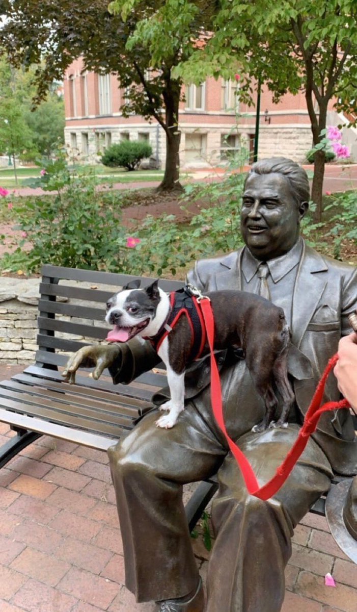 IUBarstool's tweet photo. Confirmed: Herman is a dog guy #GoodBoyFriday https://t.co/76TfqPc3jV