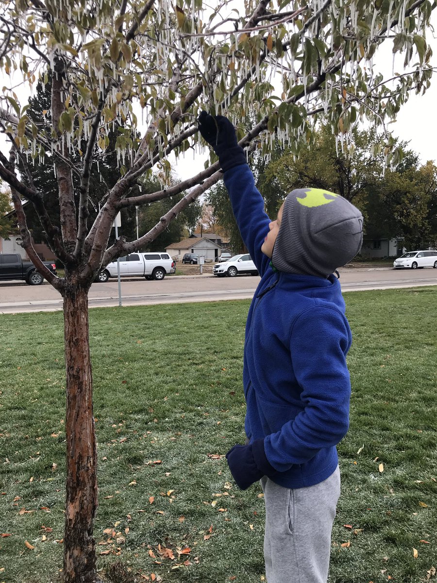 Shelly Butcher tweet media