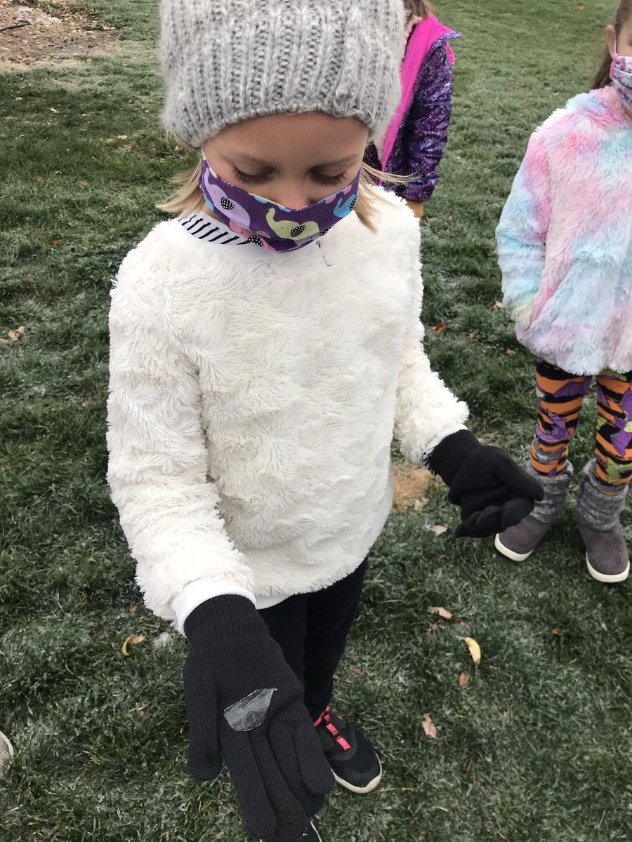 Shelly Butcher tweet media