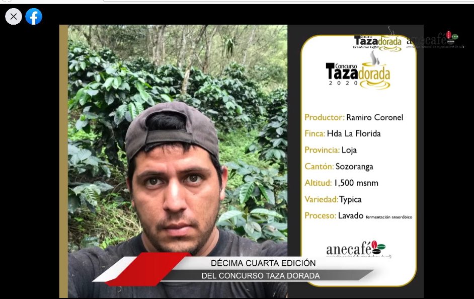 ProEcuador_'s tweet photo. El primer lugar del concurso #TazaDorada Arábica 2020 es para el productor Ramiro Coronel, de la Hacienda La Florida, del cantón Sozoranga - Loja, con su café de variedad Typica con proceso de lavado☕️¡Felicitaciones al ganador por tan merecido reconocimiento!🏆
@ANECAFE_Ecuador https://t.co/LoYGEkX1mm