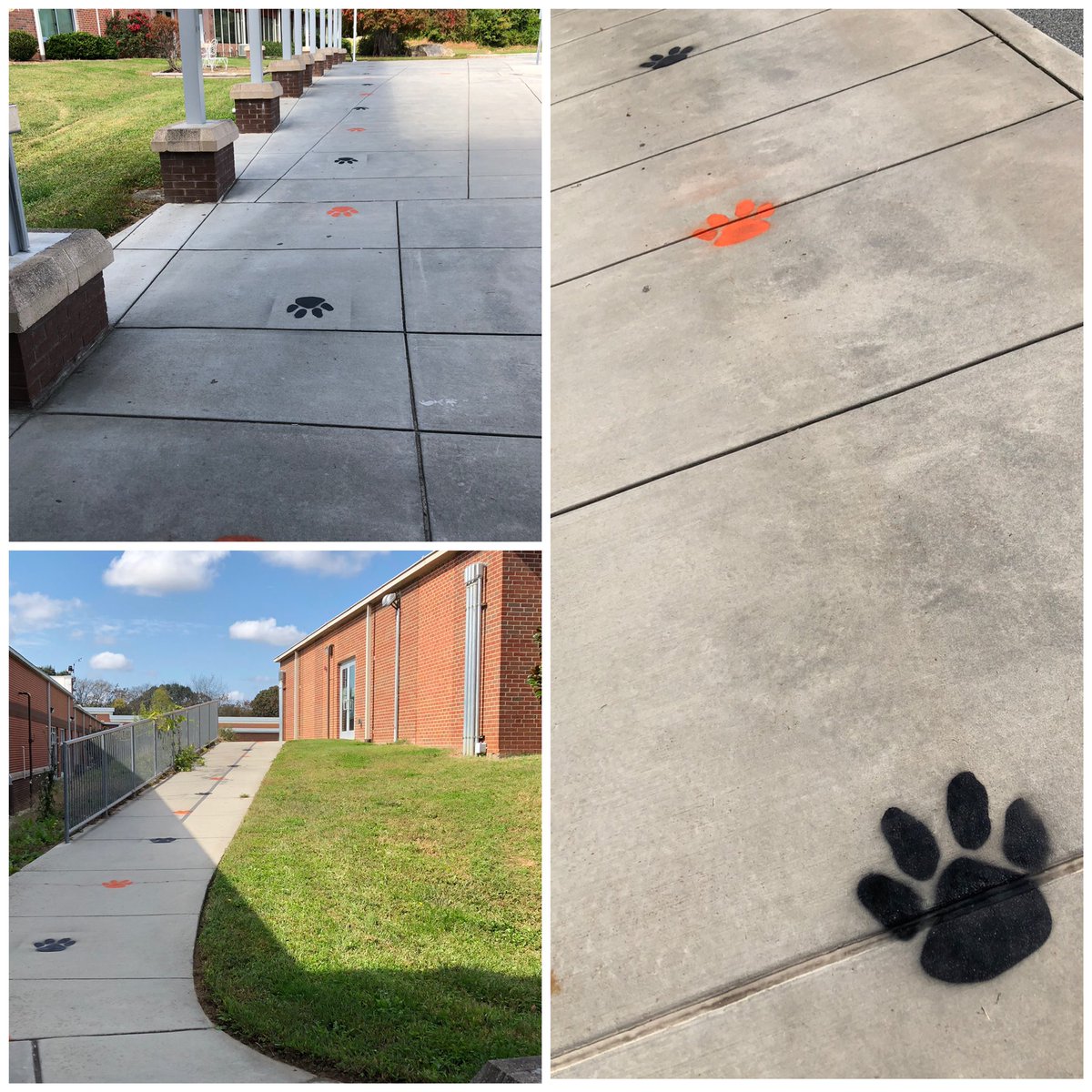 DiggsLatham's tweet photo. Showing our #TigerPride, even in our 6-feet-apart markers @wsfcs @AplusSchoolsNC @MagnetSchlsMSA #DLESTigerNation #TigerNation https://t.co/BjQ6G2a2DC