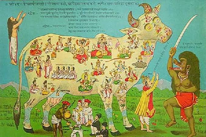 The cow protection movement is a predominantly Indian religious and political movement aiming to protect cows, whose slaughter has been broadly opposed by Hindus, Buddhists, Jains and Sikhs since long before independence.