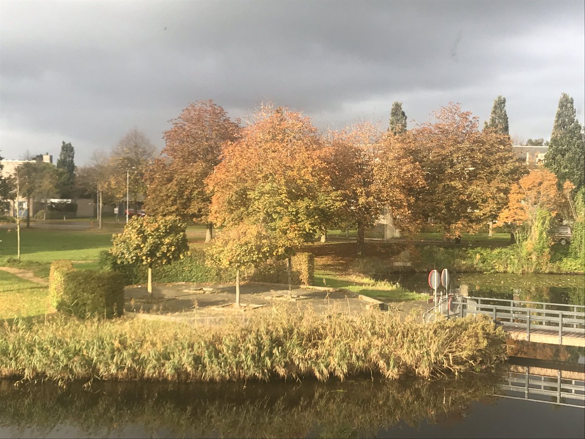 Burgeoning's tweet image. Voortuin...