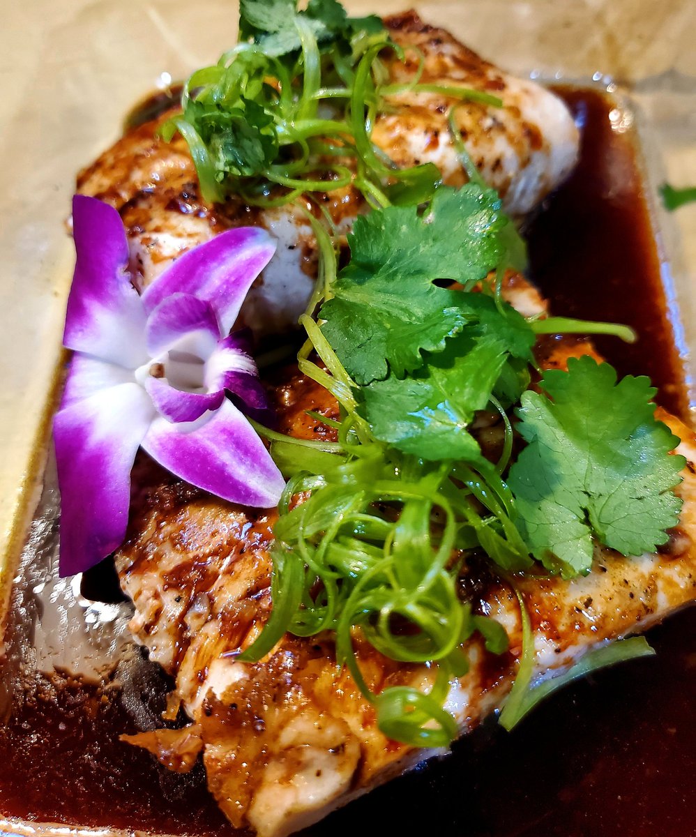 ChefRudyStraker's tweet photo. Soy-Ginger Mahi Mahi https://t.co/53oncf9kmc