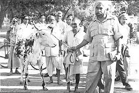 Swami Karpatri was chosen as the leader, and he advocated for a program of nationwide demonstrations.Since 1965, millions of saints of India had started a huge movement to enact laws on cow slaughter and cow protection. People from all classes were linked to it.