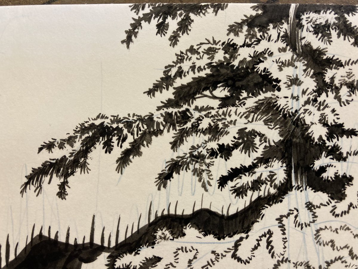 Doodle_Bags's tweet photo. Love doing detail work like this. #detailart #art #artwork #penandink #penandinkdrawing #brushink #brushdrawing #conifer #conifertree #treeart #treeartwork #blackandwhite #blackandwhiteart #artprocess #processart #comicsgate https://t.co/tqGp6z6ctz