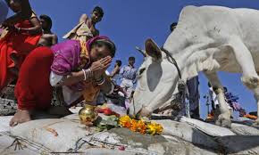 The sacrifice of the huge numbers of Gaubhakts on 7th Nov 1966 in Delhi is still not succeeded for an overarching legislation to ban cow slaughter in India by Central Govt. At present it depends upon the State Govt. 