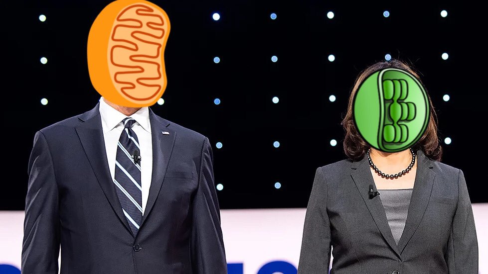 MitothePH's tweet photo. The Powerhouse Team including the chloroplast as my Vice President because they also have a very important job in the cell. Both of us together will make a difference happen! #CellVote2020 https://t.co/5PqjiIiCag