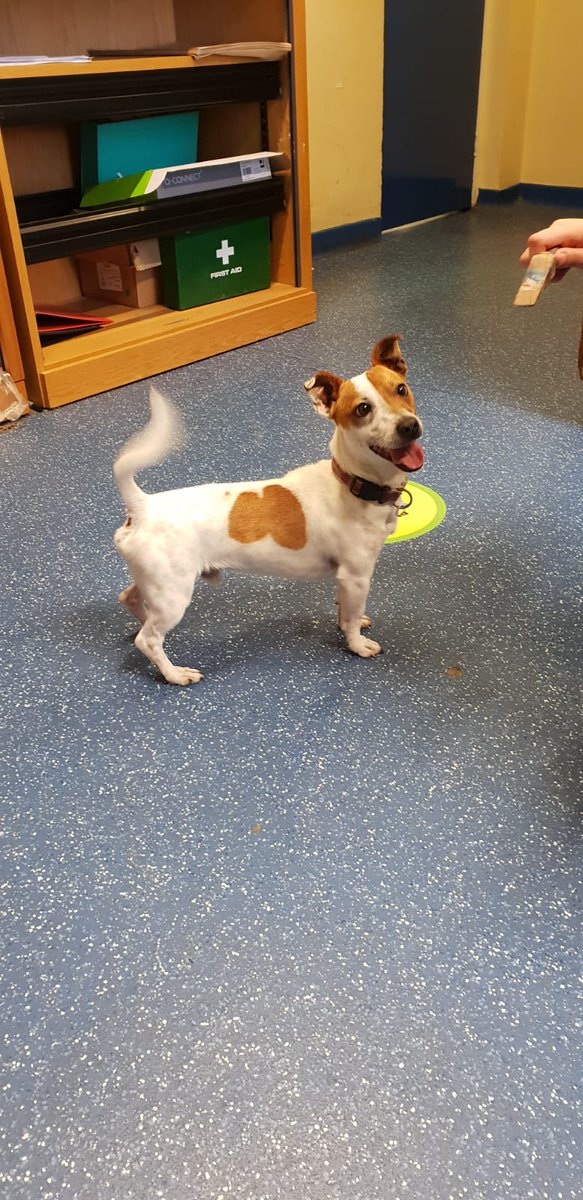 Garda Info tweet media