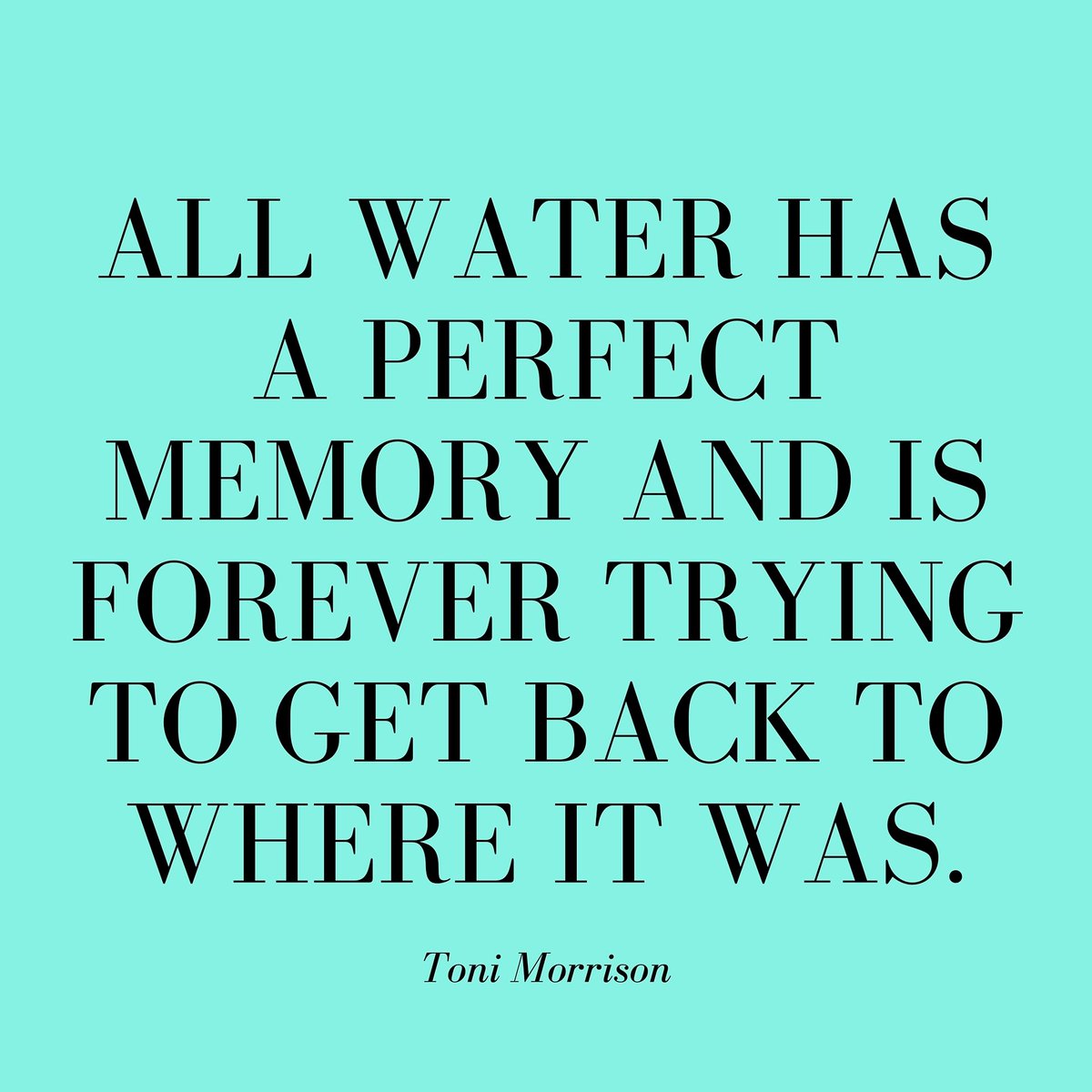 blackadepts's tweet photo. Remembering a time when things were different.....
#memories #emotions #flooding #Tonimorrison https://t.co/PEVT36voC1