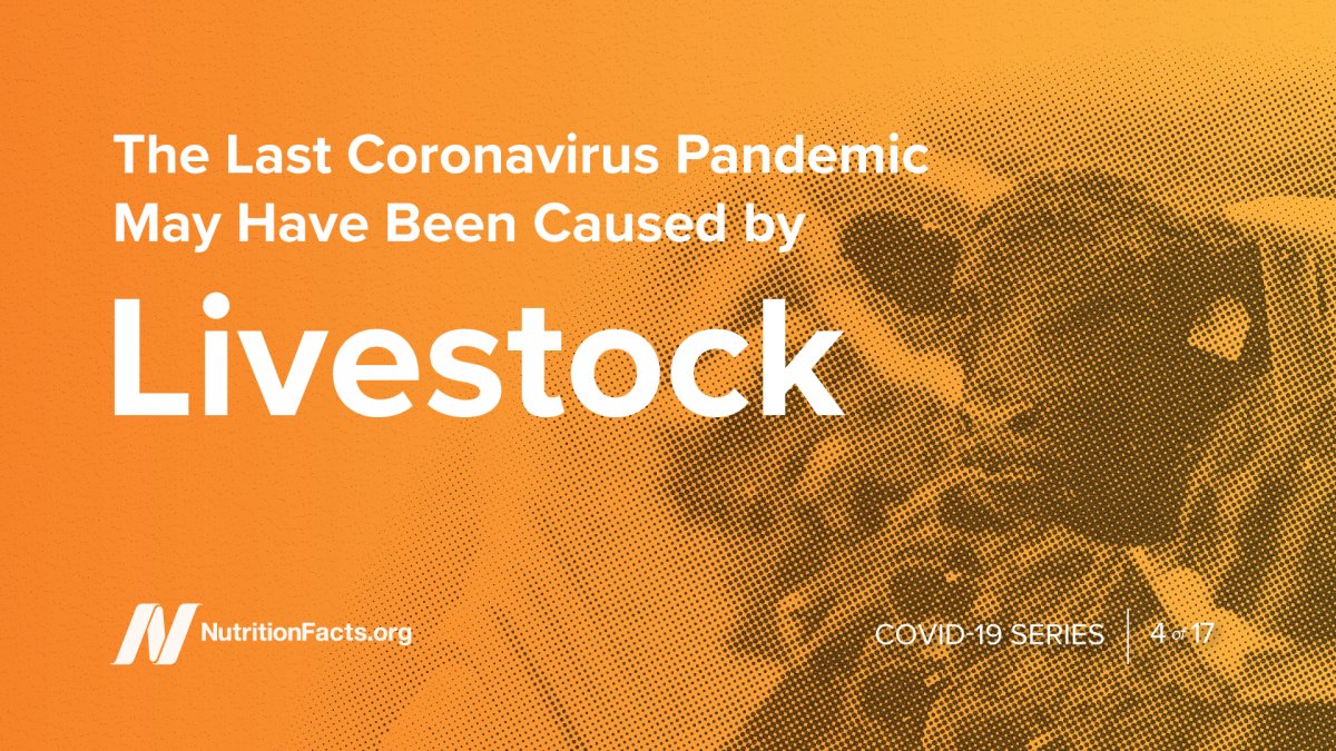 nutrition_facts's tweet photo. SADS coronavirus in pigs found to efficiently replicate in human cells: https://t.co/jnYGcIKXAX. Never heard of SADS? Check out my video: https://t.co/LVVomXVY2n https://t.co/UqZfbU3PDY