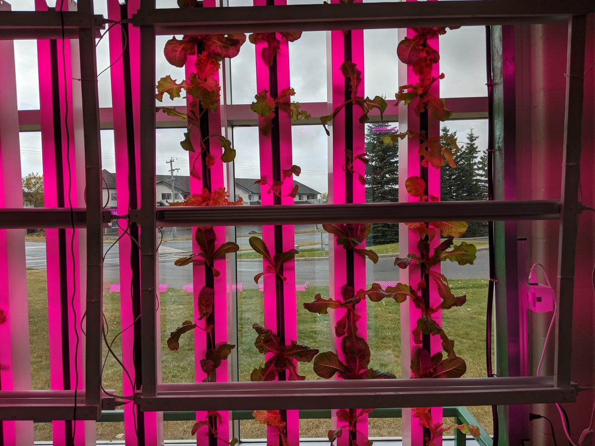 StrathmoreHighSchool tweet media