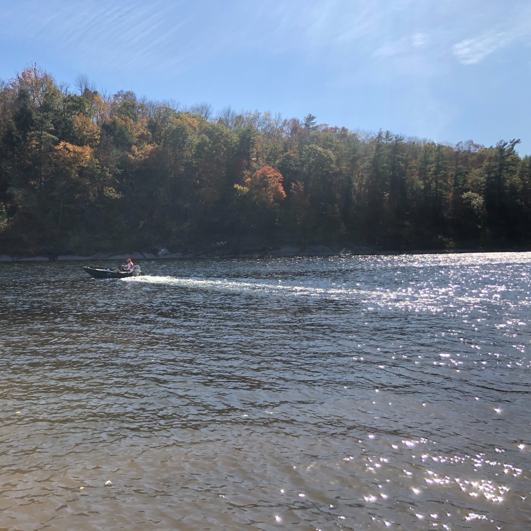 USGS_NJ's tweet photo. Hydrographer Chris Mooney hit the water to make a discharge measurement at 01438500 Delaware River at Montague. It’s beautiful days like this that we truly look forward to when heading out into the field! 📸: Jackie Polcino. #FieldPhotoFriday #ODRM #USGSNGWOS https://t.co/nwayRSP7W0