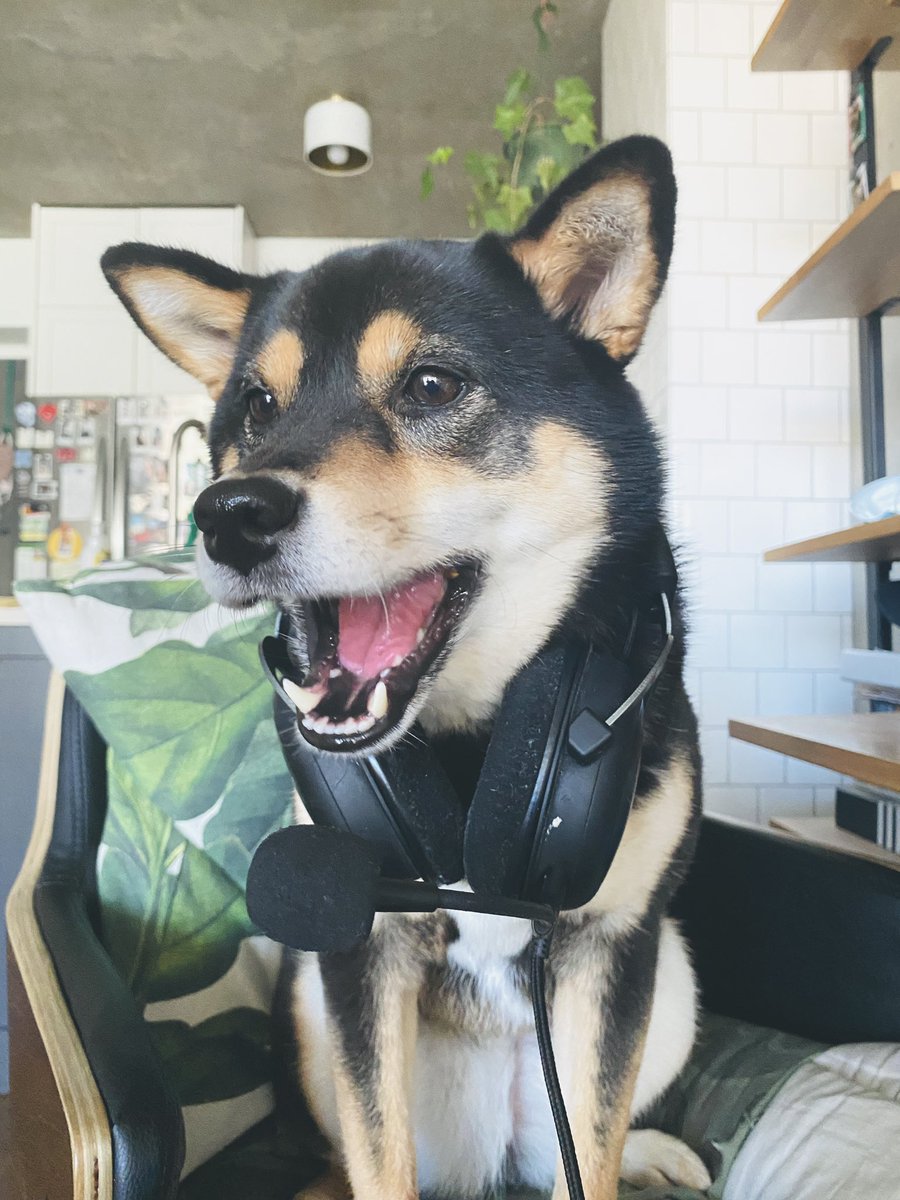 DachiHype's tweet photo. @Phil_Mizuno @Razer I love trash barking all the noobs in #overwatch! Just kidding. #thisiswhyigame https://t.co/CvxY7uEEFK