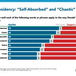 Image for the Tweet beginning: If you think Trump is