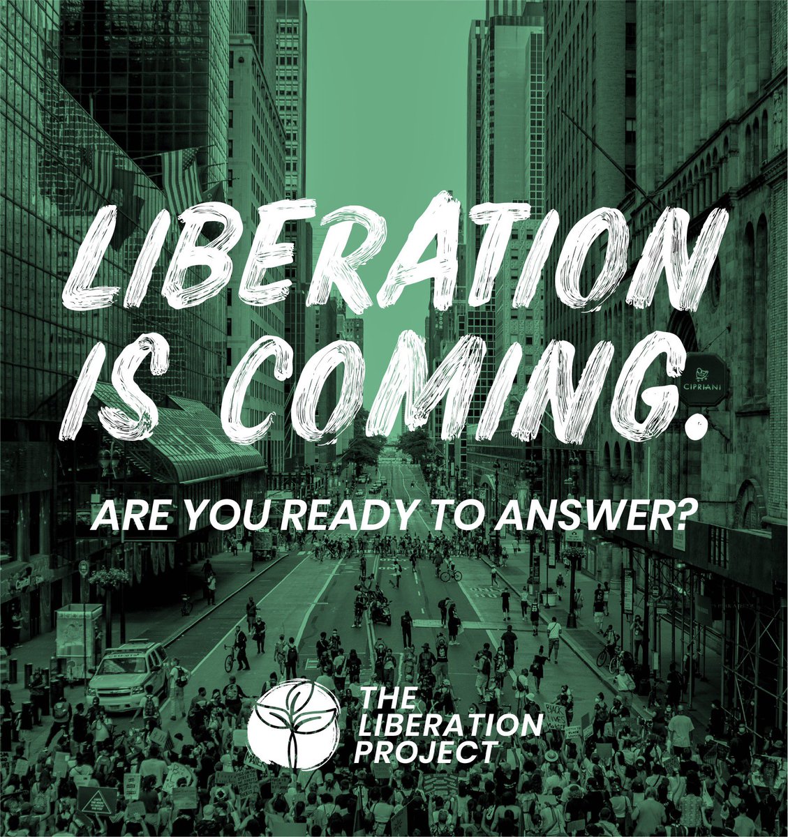 _Liberationists's tweet photo. L I B E R A T I O N  I S  C O M I N G 

#liberationiscoming 
#liberationiscalling 
#theliberationproject https://t.co/XaNM3bN3Fg