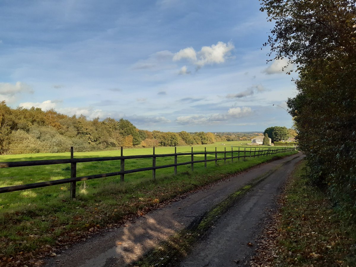 FryerningFrame's tweet photo. @Natures_Voice @BBCSpringwatch Out clearing a footpath in #MillGreen #Ingatestone #Essex this afternoon. Lovely view over Mid Essex afterwards
#WrittleForest https://t.co/Ul7WvbU8Rj