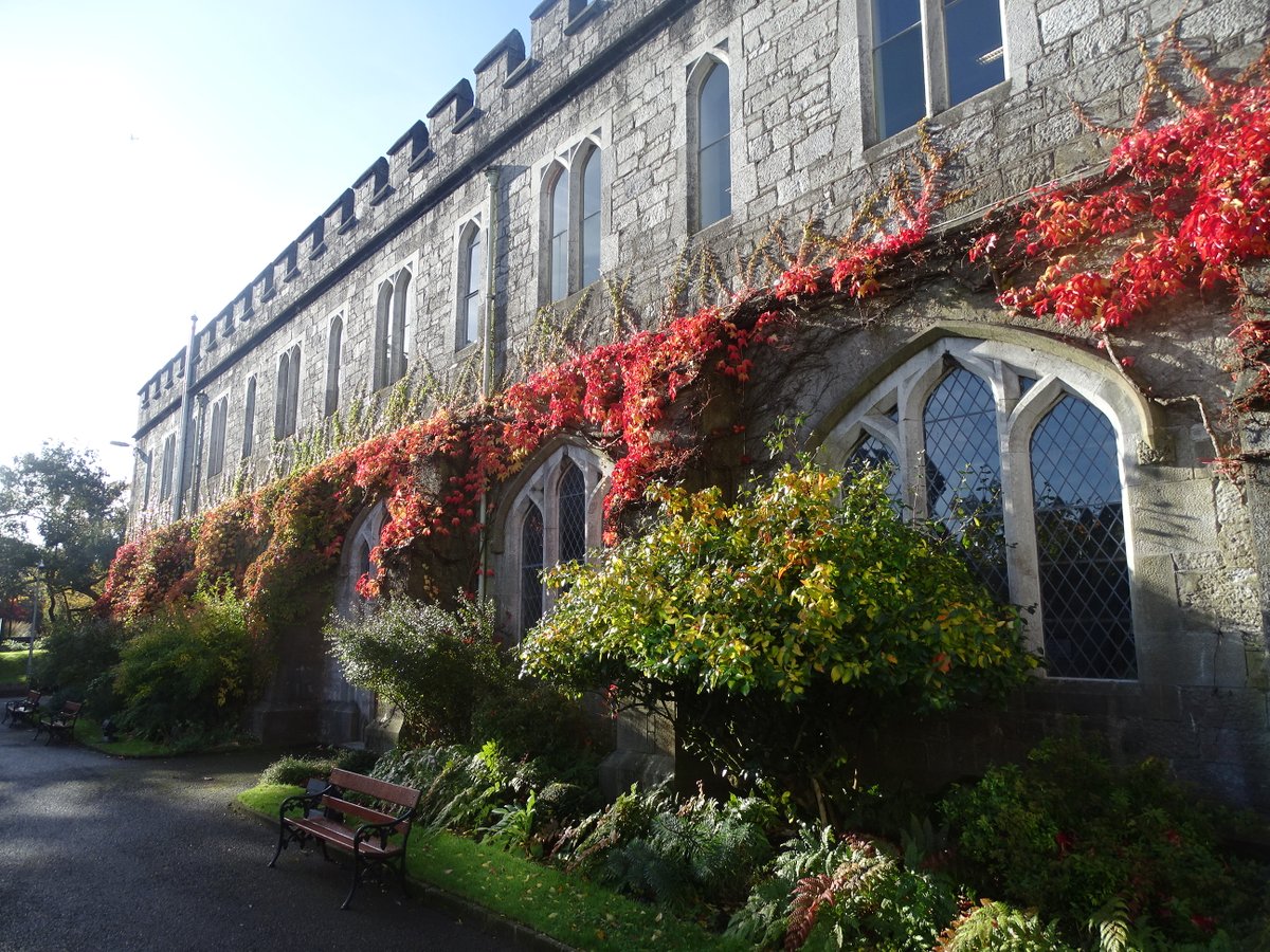 cllrkmac's tweet photo. "A University's Autumn" - Autumn sweeping through the grounds of @UCC, 23/10/20 @pure_cork @CorkHealthyCity #treesmatter https://t.co/lVCfFE2Mmz