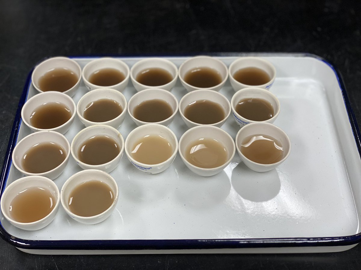 soilsdiva's tweet photo. Lil sips of total clay to brighten up your afternoon #soil #particlesizeanalysis @SSSA_soils https://t.co/PfP0S95Too