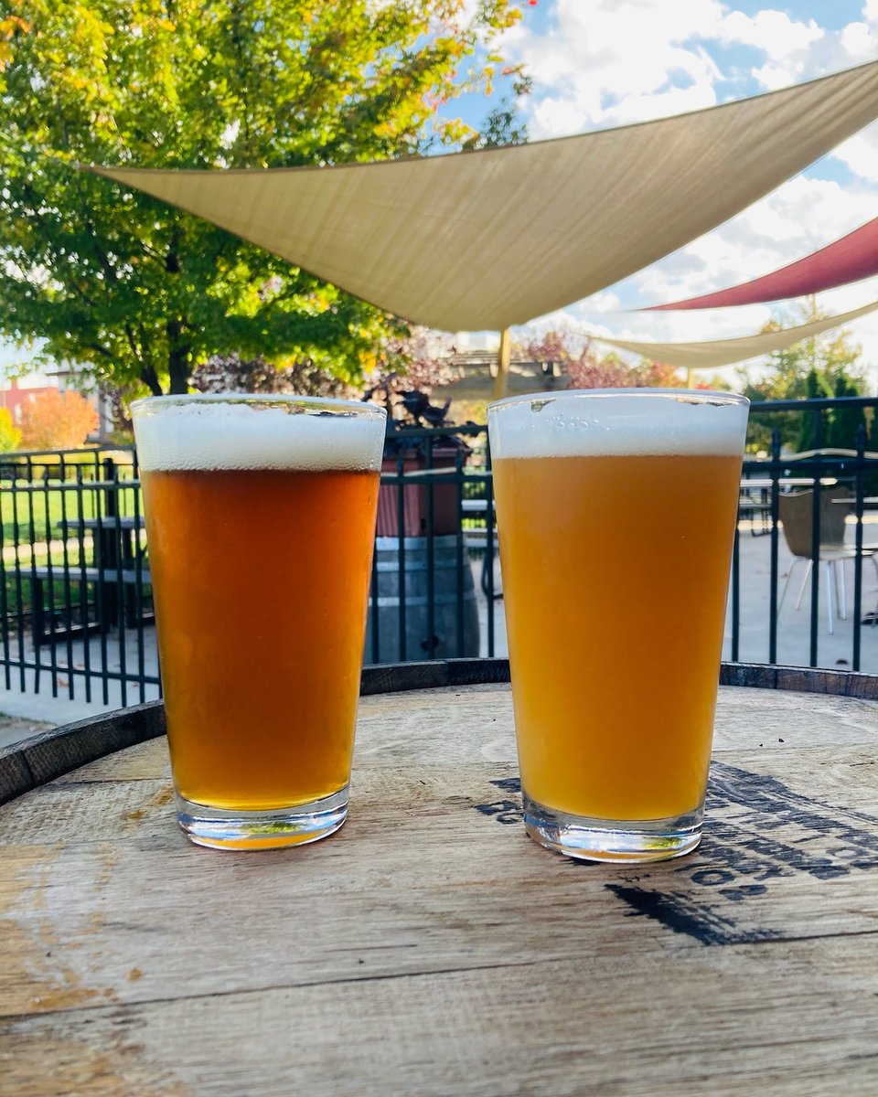 On Tap Today!

Siddhartha: A Rye IPA brewed with fruity Centennial hops and resinous Nugget hops for a classic meets modern take on the style.

Also, a fresh batch of Canopy Crusher that is tasting super delicious!  🍻