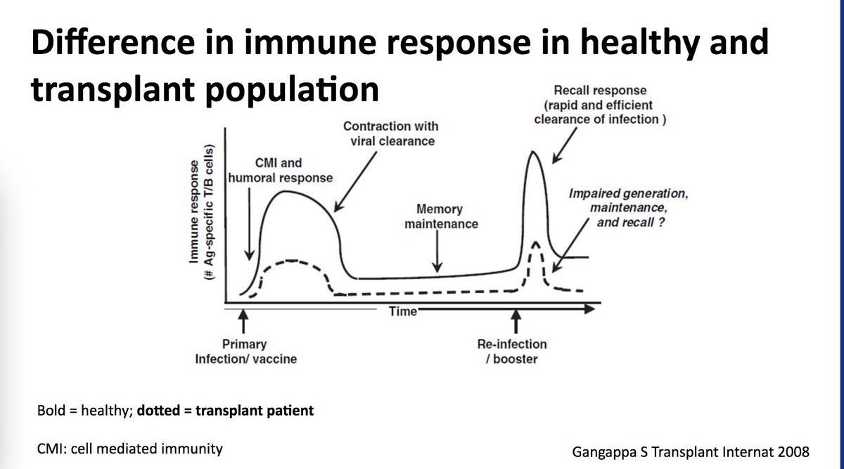 Schematic immune response to vaccine in immunosuppressed transplant recipients - both generation & maintenance impaired, but depending on pathogen this could meet threshold for protection. However the specifics poorly understood in immunocompromised persons.