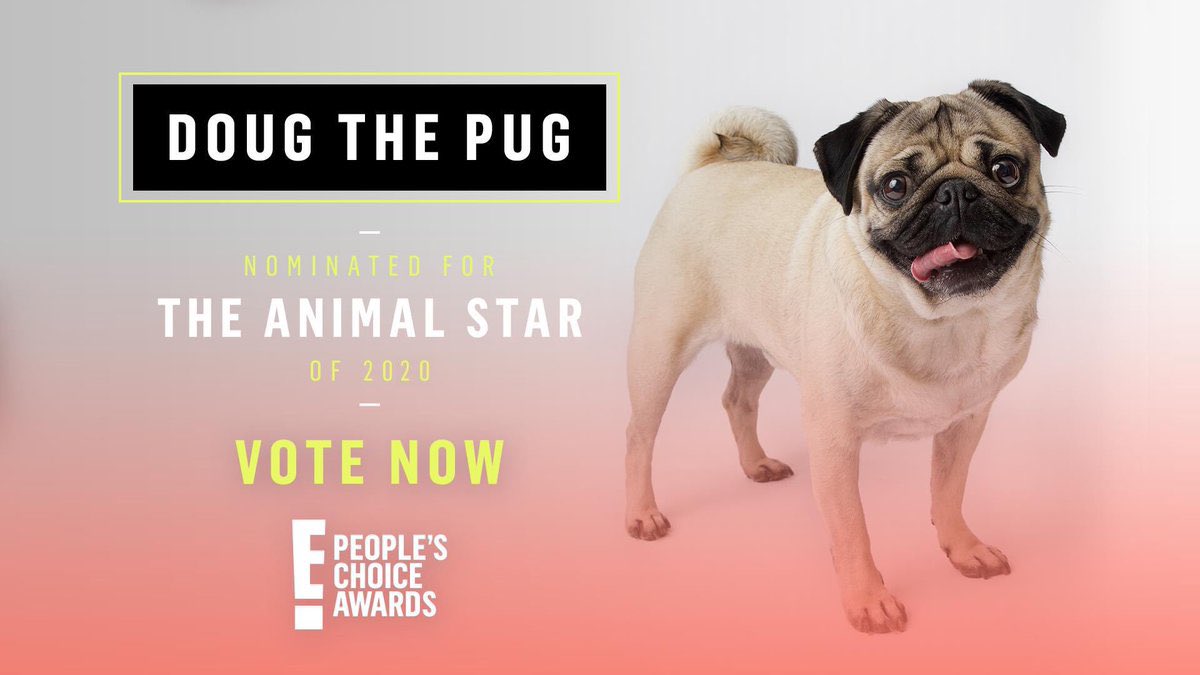 Theanimalstar Hashtag On Twitter