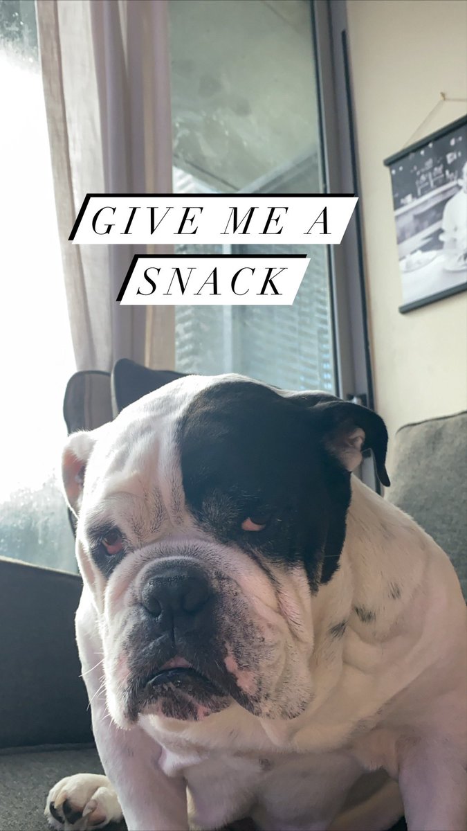 Bullyfambam's tweet photo. #Fridaymood Need snacks mom https://t.co/HKnJxrTGPk