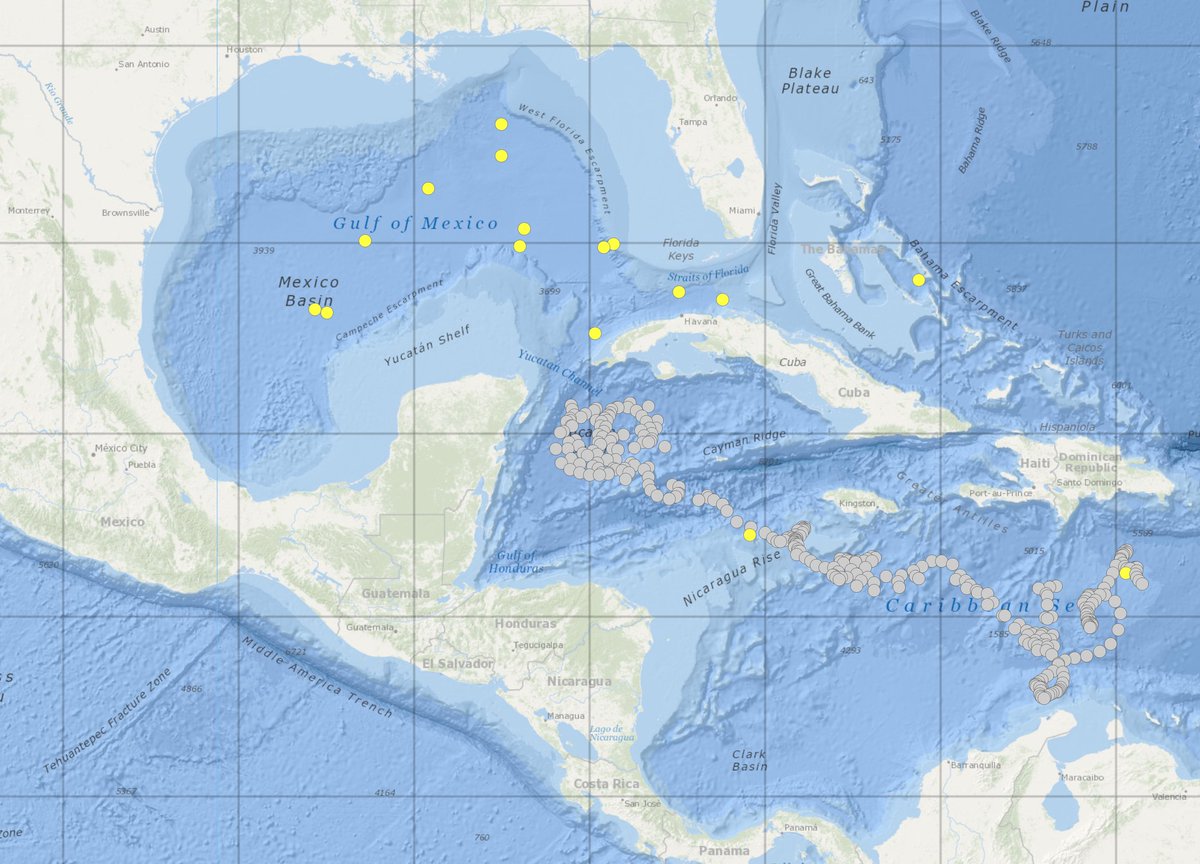 OceansClimateCU's tweet photo. For a little Friday fun, check out some in situ measurements beneath the new storm brewing in the NW Caribbean using @ArgovisCU hosted by @DonataGiglio and @CUBoulderATOC! Can download the profiles as NetCDF, too. https://t.co/qDDmodiphZ https://t.co/jE1NGt5NHH