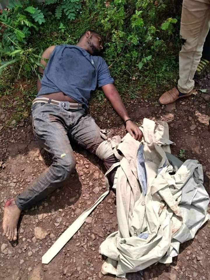 OromoCause's tweet photo. .@MinorityRights went public blaming Oromos for ethnic cleansing when 80% of those killed were Oromos themselves. #MRGHowDoesThisAddUp?
#MRGWhatisYourEvidence?
@NorwayMFA
@noradno
@SwissMFA
@Sida
@JoshCastellino
@hameem3 https://t.co/izMRejmv5G