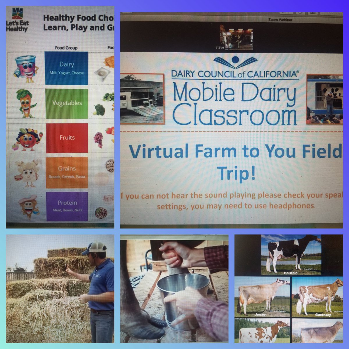 HappilyMrsShaw's tweet photo. Thank you @HealthyEating &amp; Dairy Council of C.A. for taking our 1st graders on a virtual field trip! Shout out to Efrain, Brandon, Steve &amp; Miss Sally, the Holstein cow 🐄, for being our hosts! Students had a great time &amp; learned a lot! https://t.co/Kdqo9uuOIq