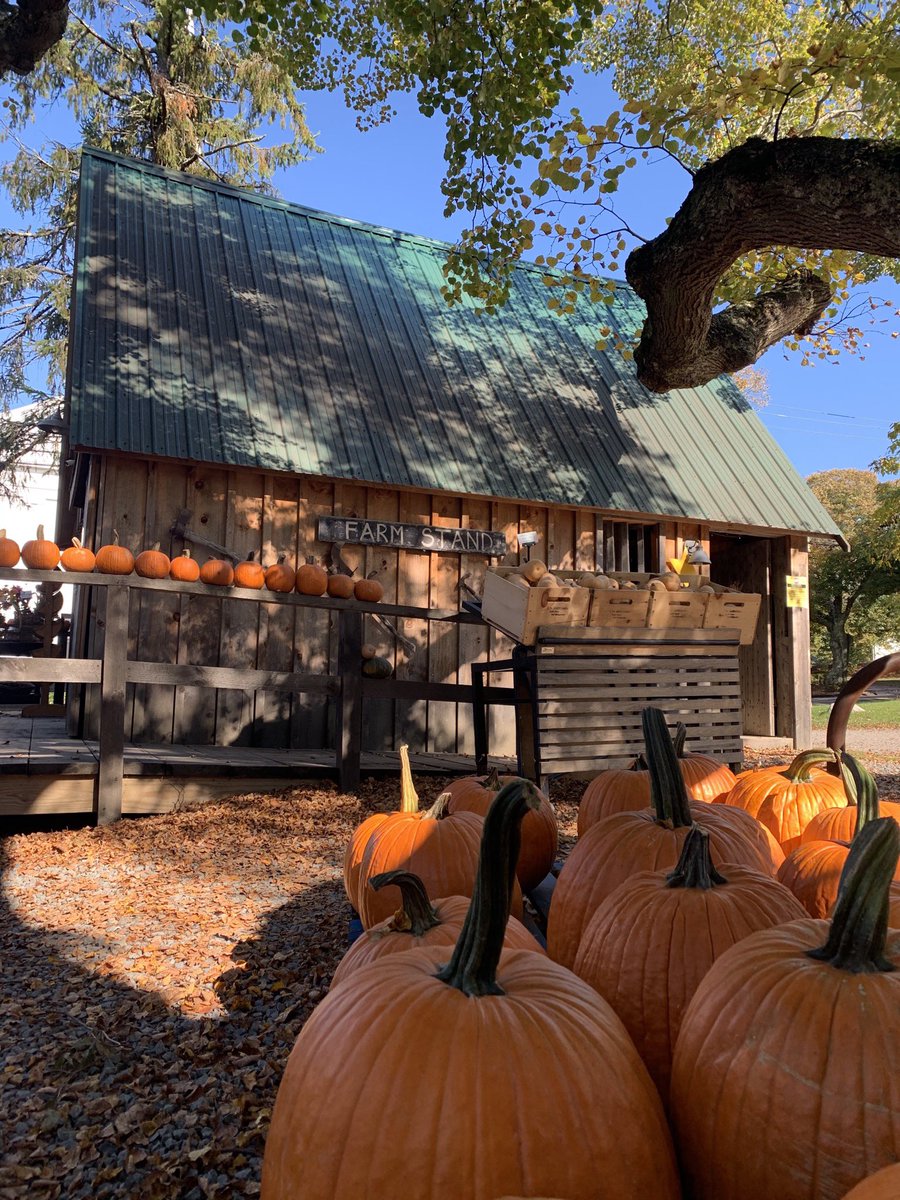 Jen and Jess at Bramhall's Country Store picking out our SERVPRO pumpkin and enjoying some of their delicious ice cream from the farm stand! 
🎃🍦 
They couldn’t have picked a better day! ☀️🍂
#TGIF #SupportLocal #PlymouthMA #Pumpkins #SERVPROPlymouth