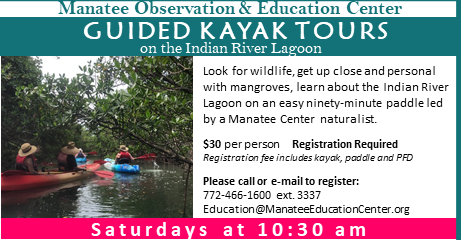 ManateeCenter's tweet photo. Manatee Center Kayak Tour Oct 24 - https://t.co/JiDxTwP5Vh https://t.co/whPqGS4lPQ