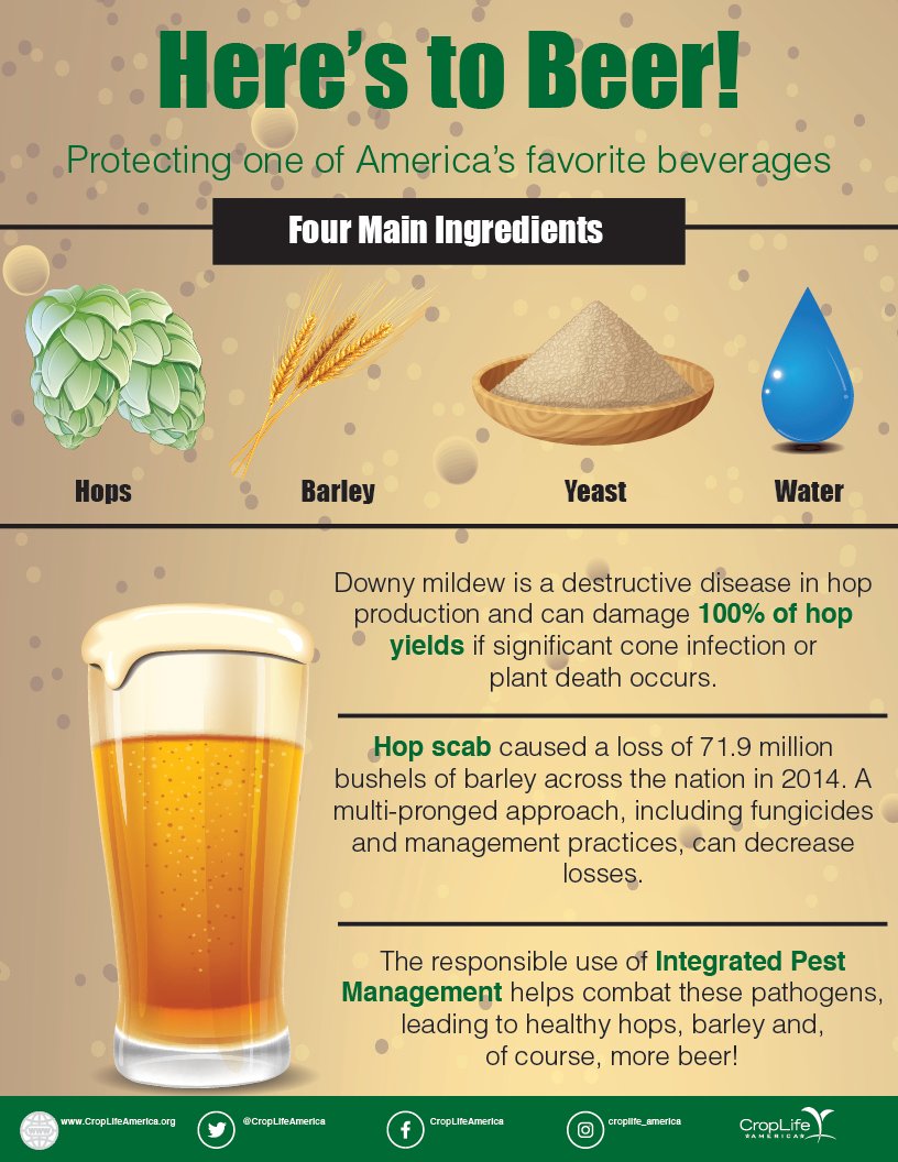 CropLifeAmerica's tweet photo. Here’s to #beer! Growers use an integrated approach to pest management to protect their hops and barley from destructive diseases and keep one of America’s favorite beverages on tap! https://t.co/4wmk1nXFv6