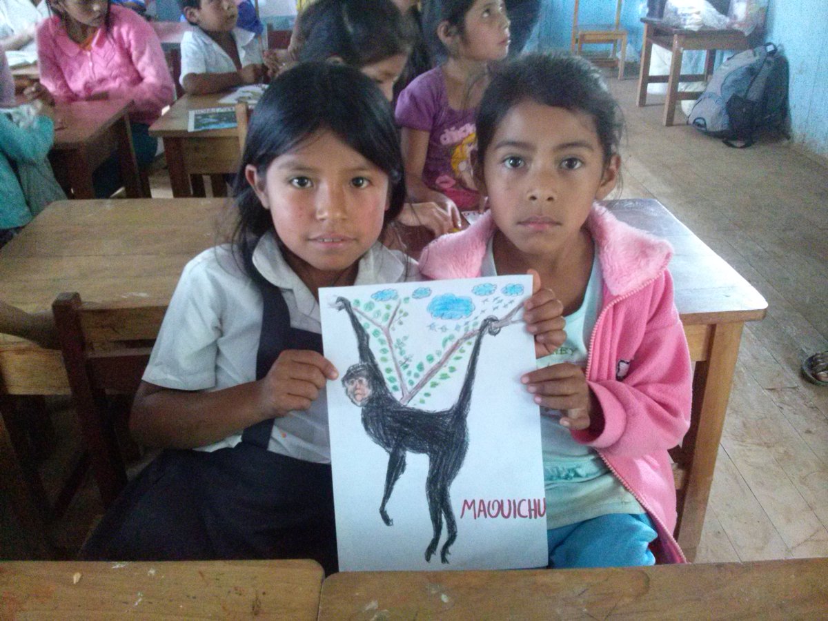 primates_peru's tweet photo. nuestras investigaciones con primates va de la mano con la educación ambiental en comunidades y centros poblados alejados del Perú. #Huánuco #AmazoníaPeruana #Atelidae #AtelidosAmenazadosPerú #PrimatesdelPerú #saveprimatesperu #PrimatesAmazónicosPerú   #savingprimatesperu https://t.co/zw3DG7926U