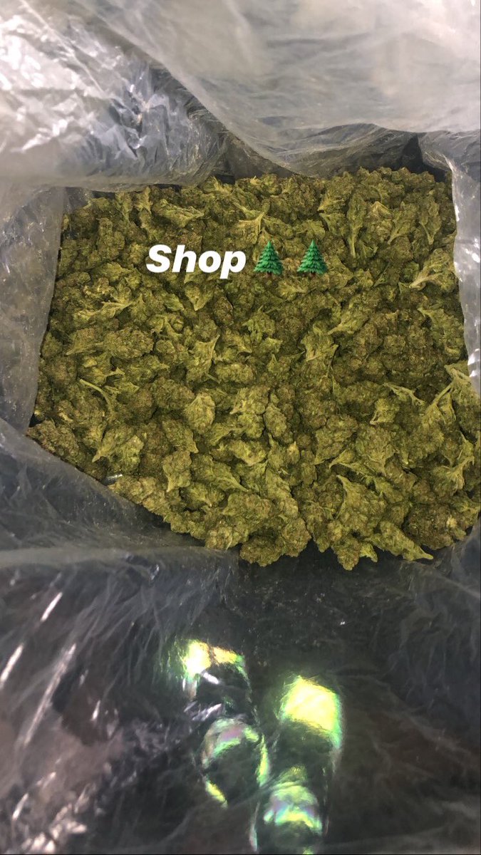 RICOINDACUTTT's tweet photo. Tap my jack 🌲❤️ https://t.co/vmpSGUZQQU