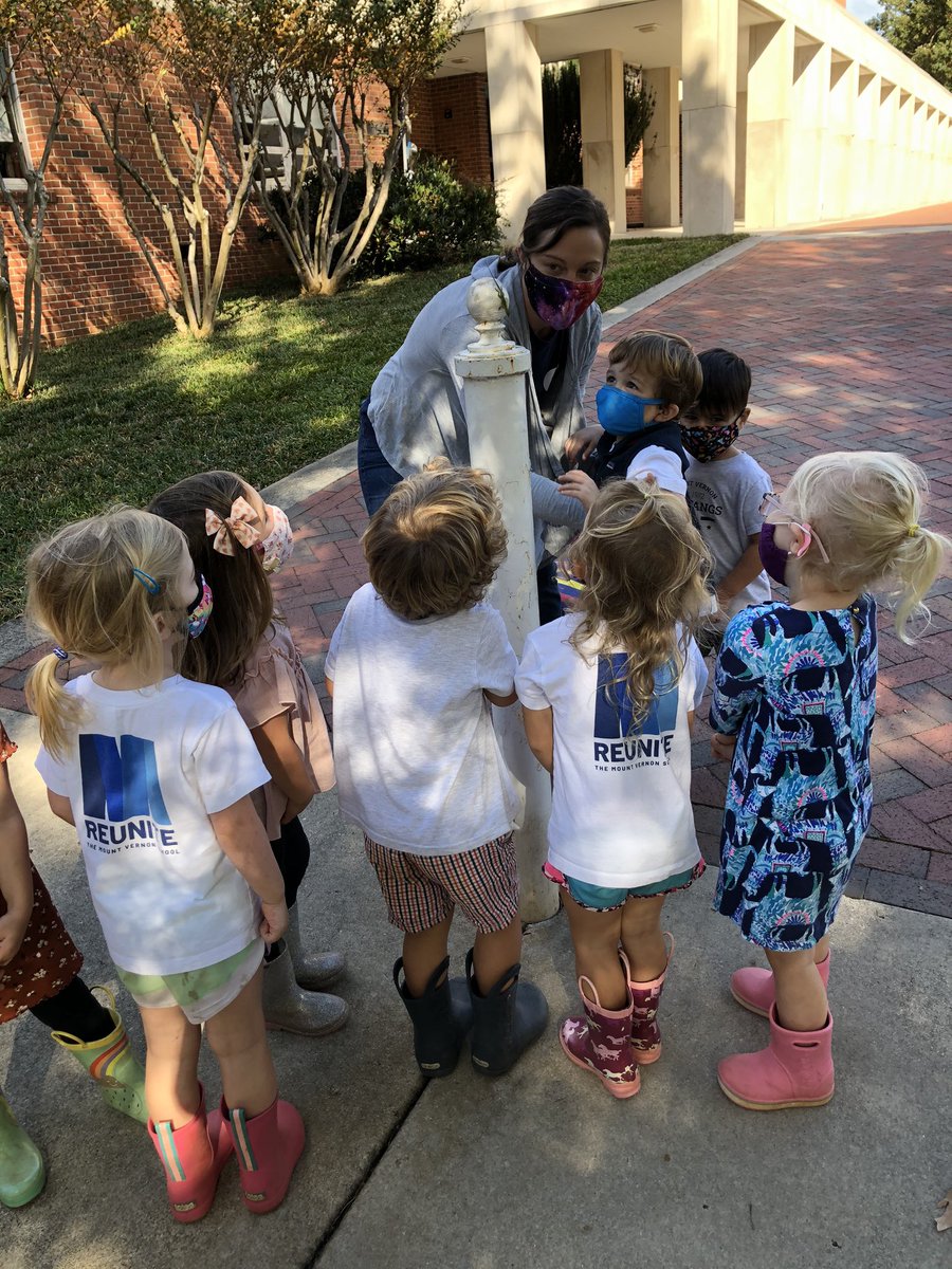 Cheryl Bruno tweet media