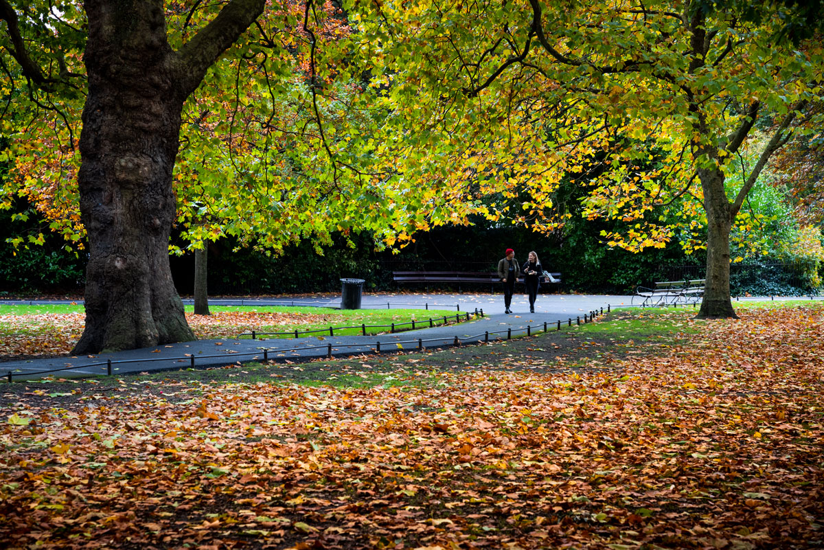 McArdlePhoto's tweet photo. Autumn strolls in St. Stephen's Green #Dublin #ThePhotoHour

@PictureIreland @PhotosOfDublin @OldDublinTown @OldeEire @newslineweather @barrabest @WeatherCee @angie_weather @DiscoverIreland @VisitDublin @TourismIreland @ireland @GoToIreland @DublinLive https://t.co/YvHG4u3NxQ
