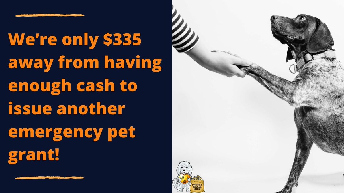 henry_caring's tweet photo. At Henry's Caring Heart Foundation, we provide pet financial aid grants to cash-strapped individuals in IL, IN and WI. To support our mission, please visit our GoFundMe at https://t.co/TaV7B8B144. Thanks for your support.
#petfinancialaidgra #petgrants #petfinance #heartfinance. https://t.co/bTYRWScvWS