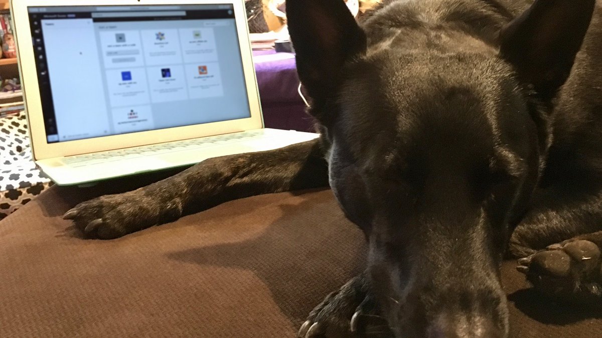 MicrosoftTeams tweet picture