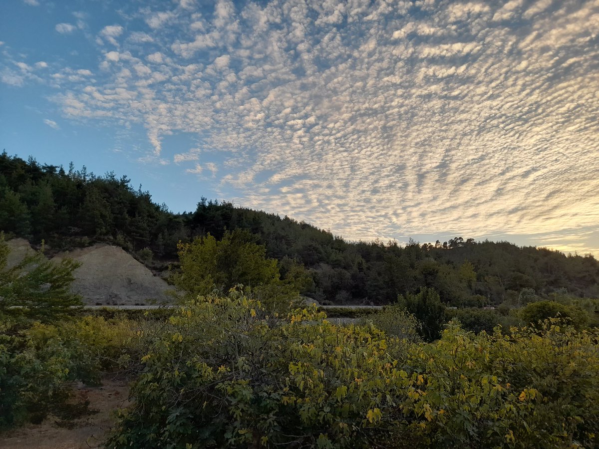 أحياناً لا تحتاج الشخص الذي يعطيك المظلة وإنما تحتاج الشخص الذي يبتل معك .. فمساحة الشعور أحيانًا تفوق مساحة العطاء