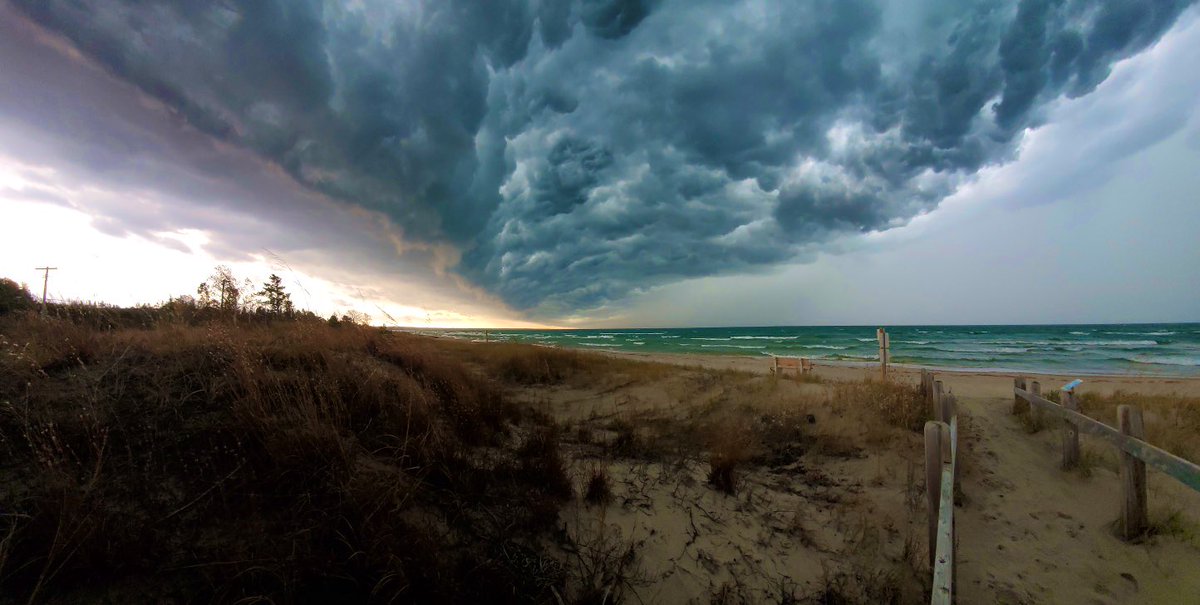 E Miller tweet media