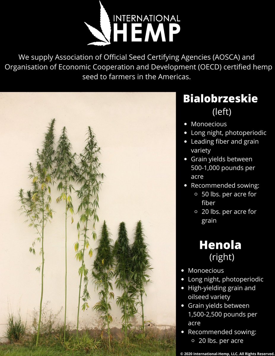 International Hemp on Twitter "Check out the 2021 International Hemp