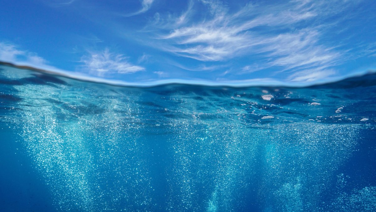 BeautyKitchen's tweet image. An ocean free of #plastic waste...the dream! 🌊💙