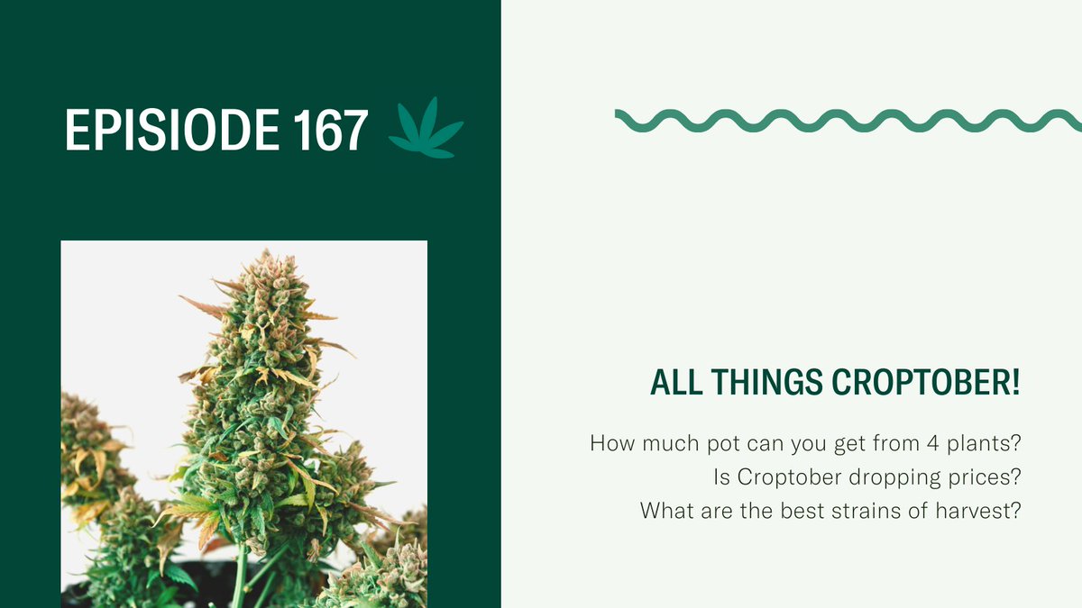 The Roll-Up tweet media