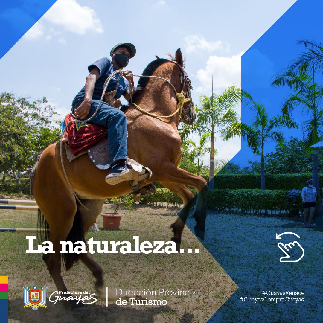guayasrenace's tweet photo. Casa Grande Resort es un lugar encantador por su entorno natural, donde puedes disfrutar en familia o con amigos.

Este destino ubicado en el cantón Pedro Carbo, reabre sus puertas para brindarte un #FullDay con todo incluido.

Contacto: 
Jorge España: 096 713 - 82- 25 https://t.co/eztodYD5BB