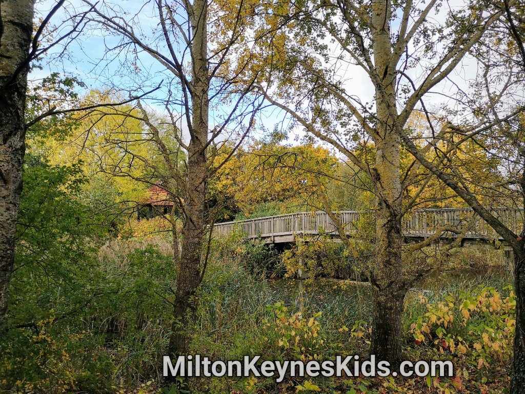 Feeling Autumnal at Caldecotte Lake in Milton Keynes 🍂♥️