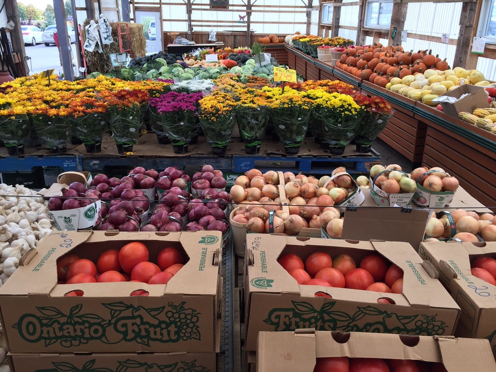 TownOfCaledon's tweet photo. Some of Caledon's on-farm markets will soon close for the season. Support them while you can! #ShopLocalCaledon
Check out the #FarmFresh Guide from @inthehillsmag  https://t.co/41Sv6fgU2B
Be sure to check individual business info, some activities may require reservations. https://t.co/K9P29CQXKo
